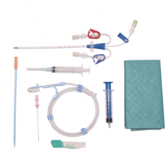 Hemodialysis Catheter