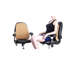 BS-1001 Chair Backrest