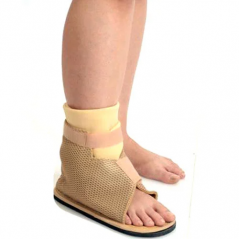 Cast Shoe Support